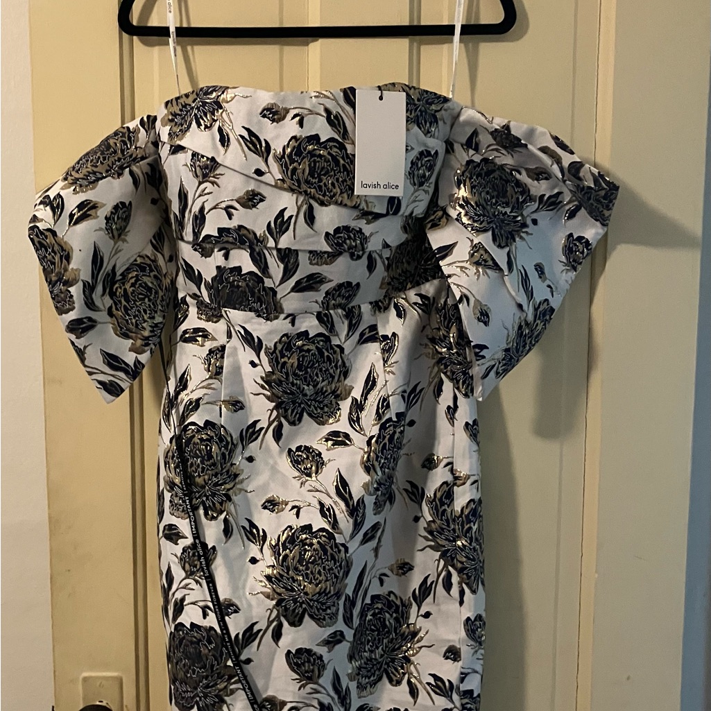 Lavish Alice Multi Colored Dress Size 4
